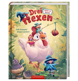 Drei nicht zu kleine Hexen (Bd. 1)
