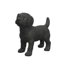 Schwarzer Labrador Retriever