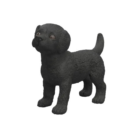 Schwarzer Labrador Retriever