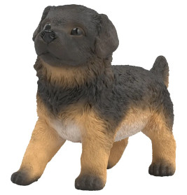 Deutscher Schäferhund Welpe