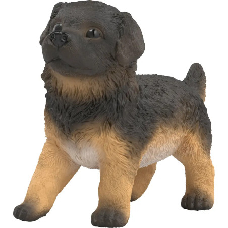 Deutscher Schäferhund Welpe