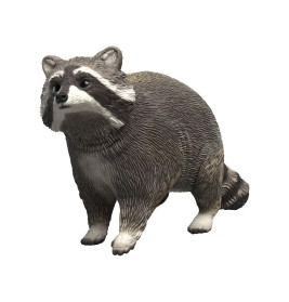 Waschbär