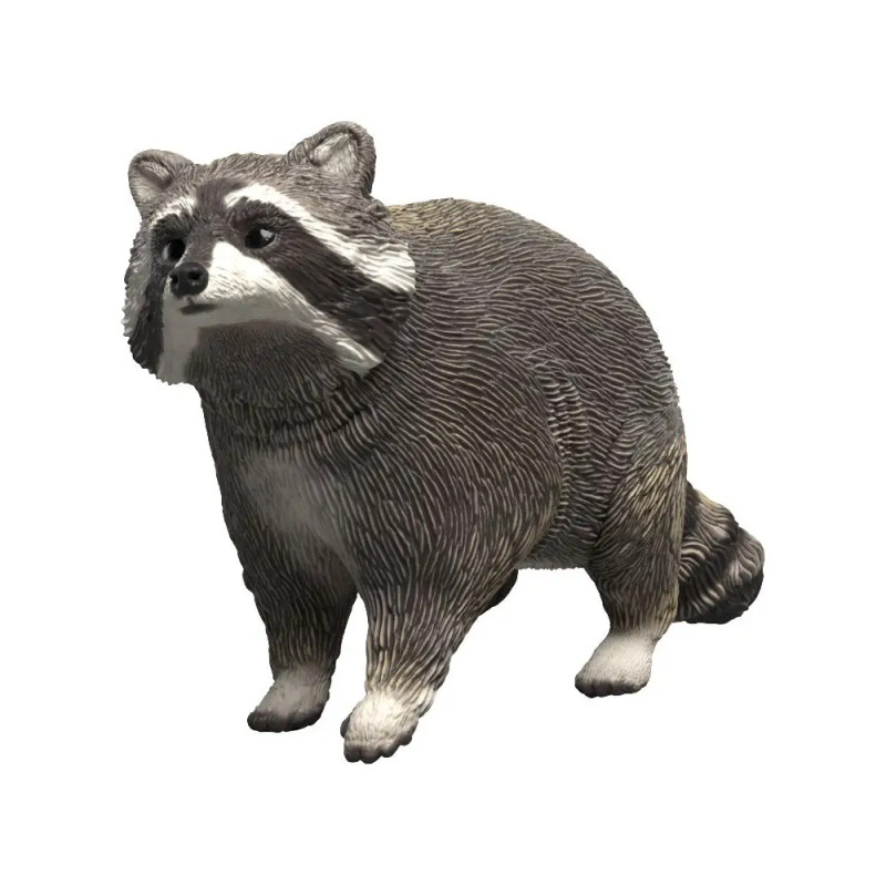 Waschbär