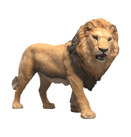 Afrikanischer Löwe