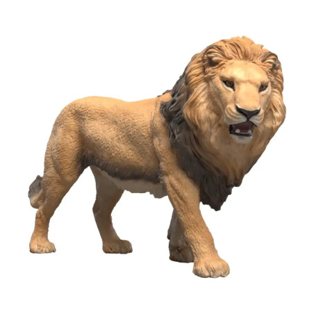 Afrikanischer Löwe