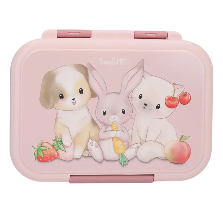 Depesche Princess Mimi Brotdose Edelstahl – Robust, BPA-frei & märchenhaft (ca. 18x13x6cm)