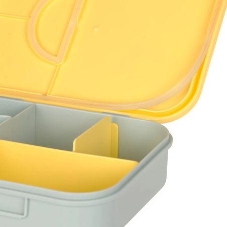 Lässig Bento Brotdose Happy Trails Flower – Praktisch für Kindergarten & Schule