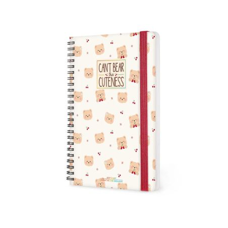 12-Month Diary 2027 Teddy Bear