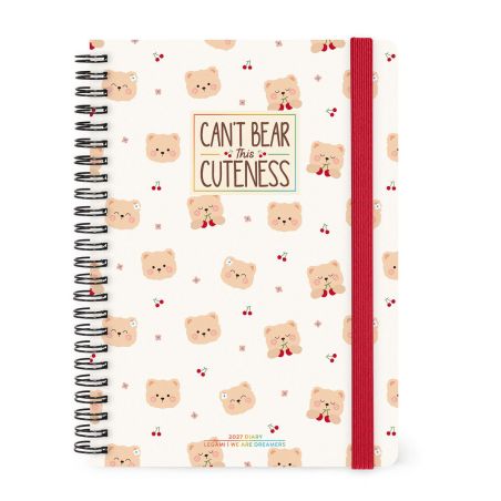 12-Month Diary 2027 Teddy Bear
