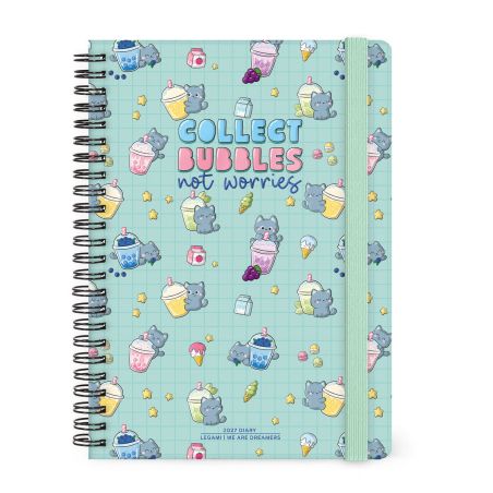 12-Month Diary 2027 Kitty