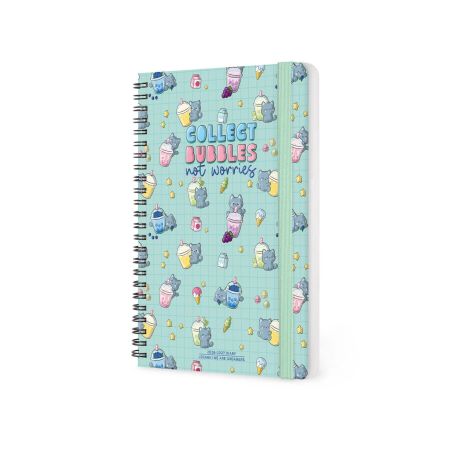 12-Month Diary 2027 Kitty