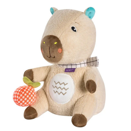 Nachtlicht Capybara