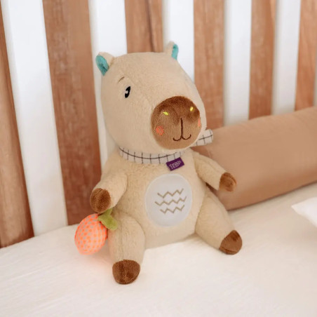 Nachtlicht Capybara
