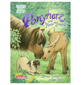 Ponyherz und Herr Franz: Kleines Fohlen, großer Held