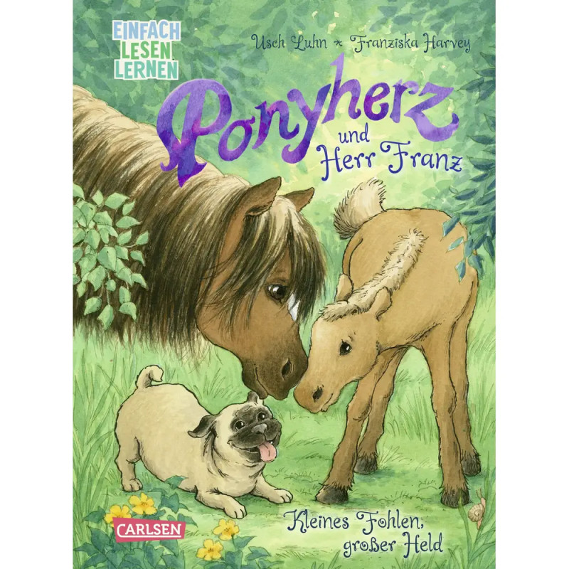 Ponyherz und Herr Franz: Kleines Fohlen, großer Held