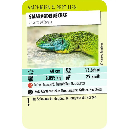 Tiere Toppen