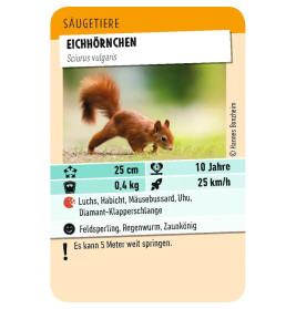 Tiere Toppen