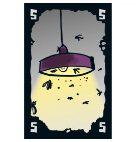 Schmidt Spiele DREI MAGIER SPIELE Mogel Motte
