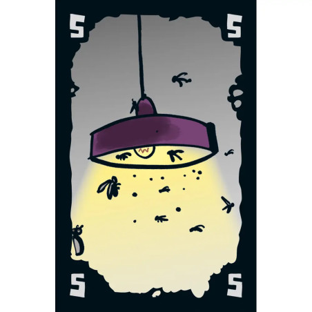 Schmidt Spiele DREI MAGIER SPIELE Mogel Motte