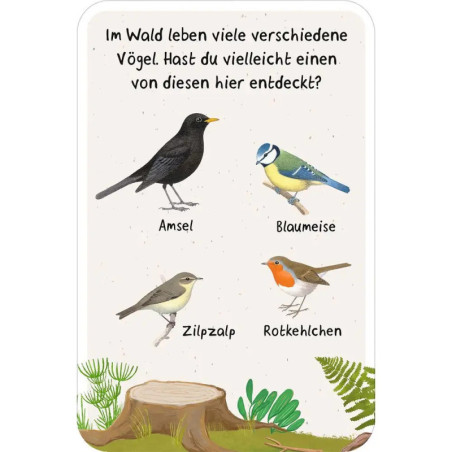 50 Entdeckerkarten-Suchspiel i.d. Natur