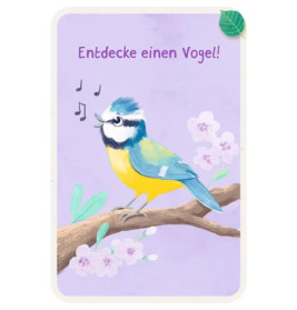 50 Entdeckerkarten-Suchspiel i.d. Natur