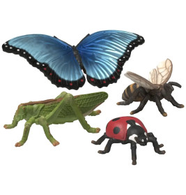 Insekten Entdecker Set
