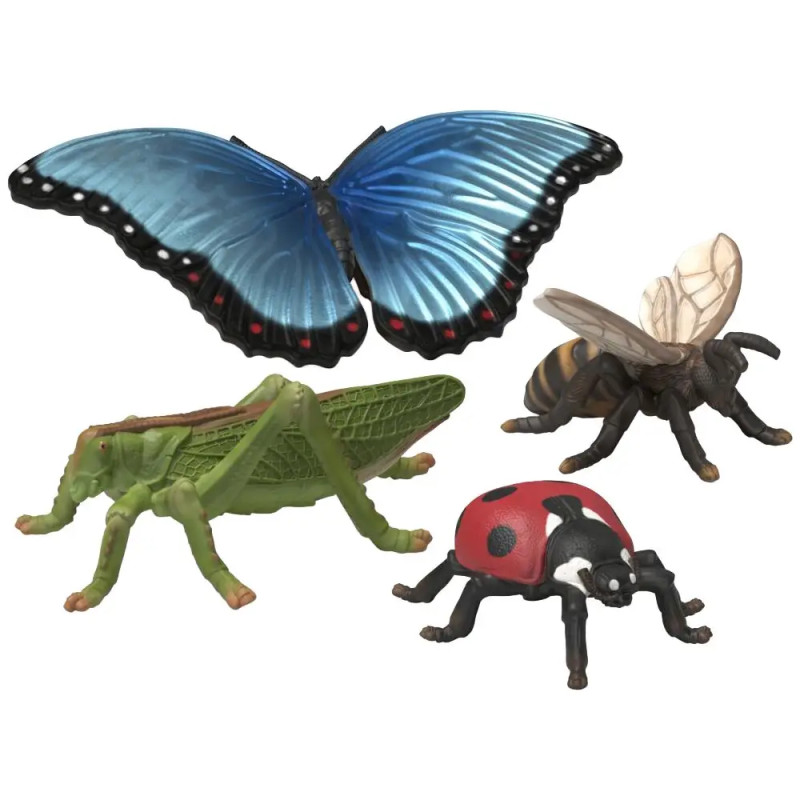 Insekten Entdecker Set