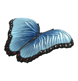 Insekten Entdecker Set