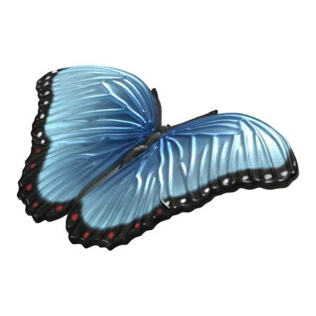 Insekten Entdecker Set