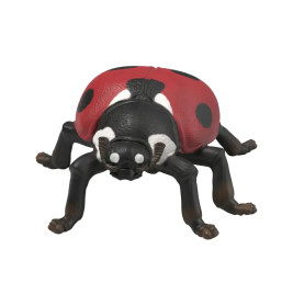 Insekten Entdecker Set