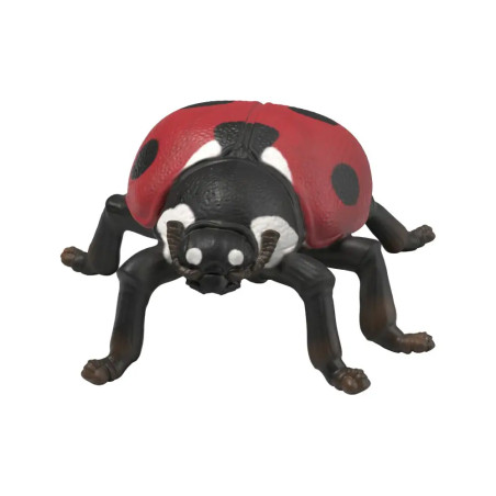 Insekten Entdecker Set