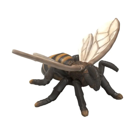 Insekten Entdecker Set