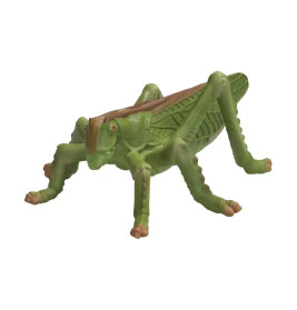 Insekten Entdecker Set