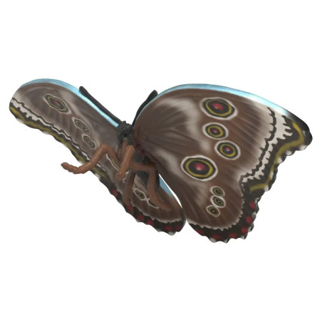 Insekten Entdecker Set