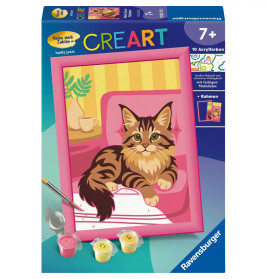 Maine-Coon-Kätzchen