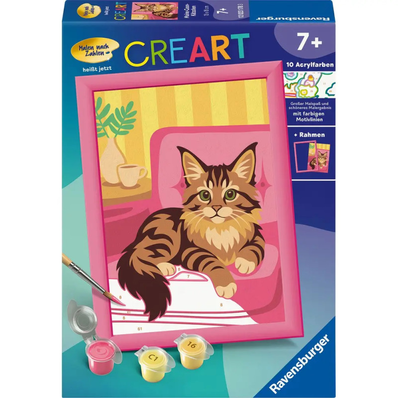 Maine-Coon-Kätzchen