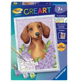Dackel Lilac