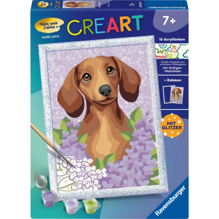 Dackel Lilac