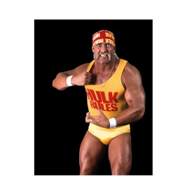WWE® Hulk Hogan