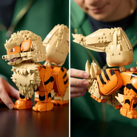 LEGO Pokémon 72160 Arkani