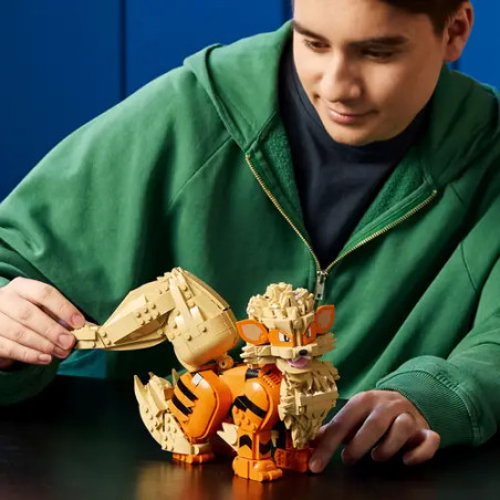 LEGO Pokémon 72160 Arkani