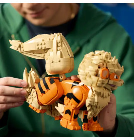 LEGO Pokémon 72160 Arkani