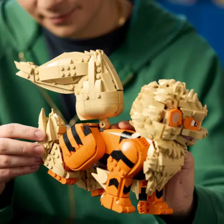 LEGO Pokémon 72160 Arkani