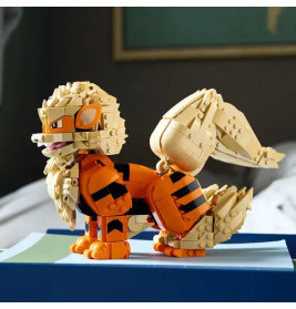 LEGO Pokémon 72160 Arkani