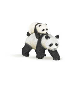 Panda Mit Jungtier