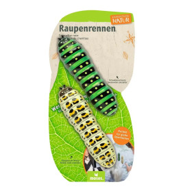 Expedition Natur Raupenrennen