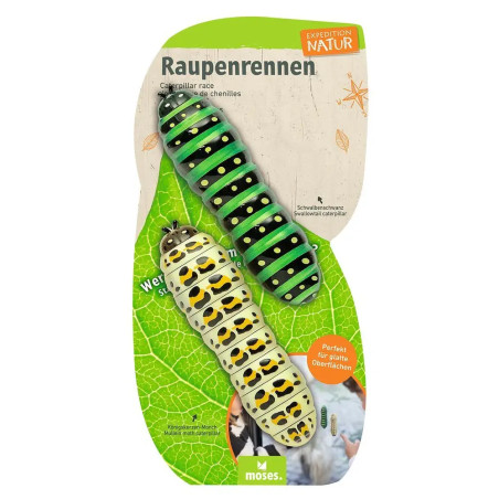 Expedition Natur Raupenrennen