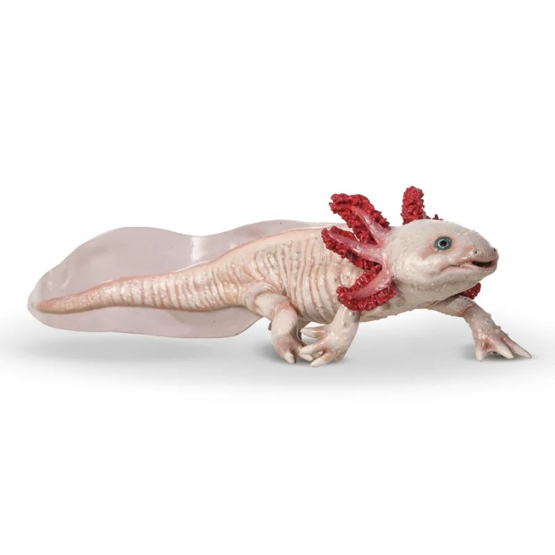Papo Axolotl – Detailgetreue Amphibienfigur für Sammler & Entdecker