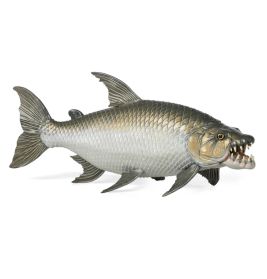 Papo Goliath Tigerfisch – Detailgetreue Unterwasser-Figur für Sammler