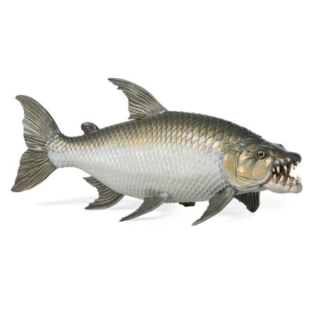 Papo Goliath Tigerfisch – Detailgetreue Unterwasser-Figur für Sammler